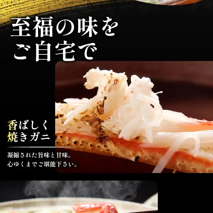 【活き】タグ付き松葉ガニ　中　2枚【松葉ガニ 松葉がに 松葉蟹 まつばがに かに カニ 冷蔵 チルド ブランド ズワイガニ 活き お祝い 冬 国産 季節限定 お取り寄せ 鳥取県 日吉津村 日本海】