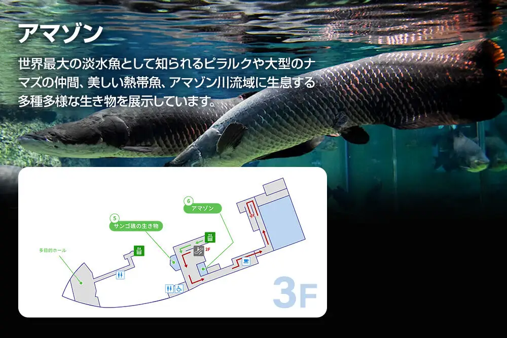 男鹿水族館GAOペア入館券 2名分 秋田県 ガオ 日本海 ペア 利用券 入場券