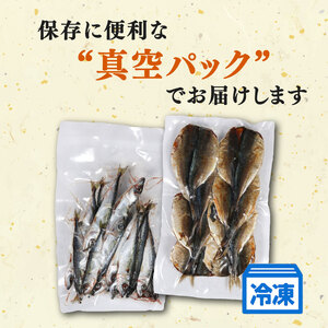 訳あり 干物 おまかせ セット 1kg 冷凍 詰め合わせ ひもの 訳アリ 規格外 不揃い ヒモノ 開き 醤油干し みりん干し 朝食 和食 おつまみ アジ カマス シイラ ブリ 小サバ ウルメイワシ 三重県 伊勢 志摩 南伊勢町 山藤