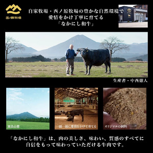 宮崎県西ノ原牧場・なかにしプレミアム和牛赤身しゃぶしゃぶモモ 300g 国産 牛肉 肉 宮崎牛 黒毛和牛 お肉 しゃぶしゃぶ なかにし和牛 焼肉 人気 モモ 赤身