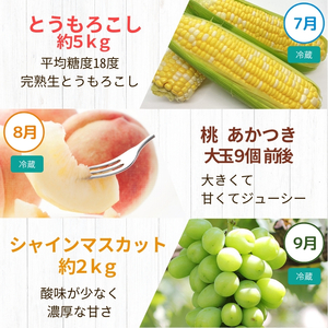 飯田市 定期便【決定版】| フルーツ 果物 お菓子 スイーツ 肉 焼肉 干し柿 市田柿 野菜 とうもろこし 桃 梨 りんご シャインマスカット 信州 詰め合わせ セット 定期 長野県 飯田市