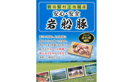 【全3回　定期便】新潟県産　岩船豚　ロース味噌漬け タレ込800g お取り寄せ グルメ 肉料理 新潟市