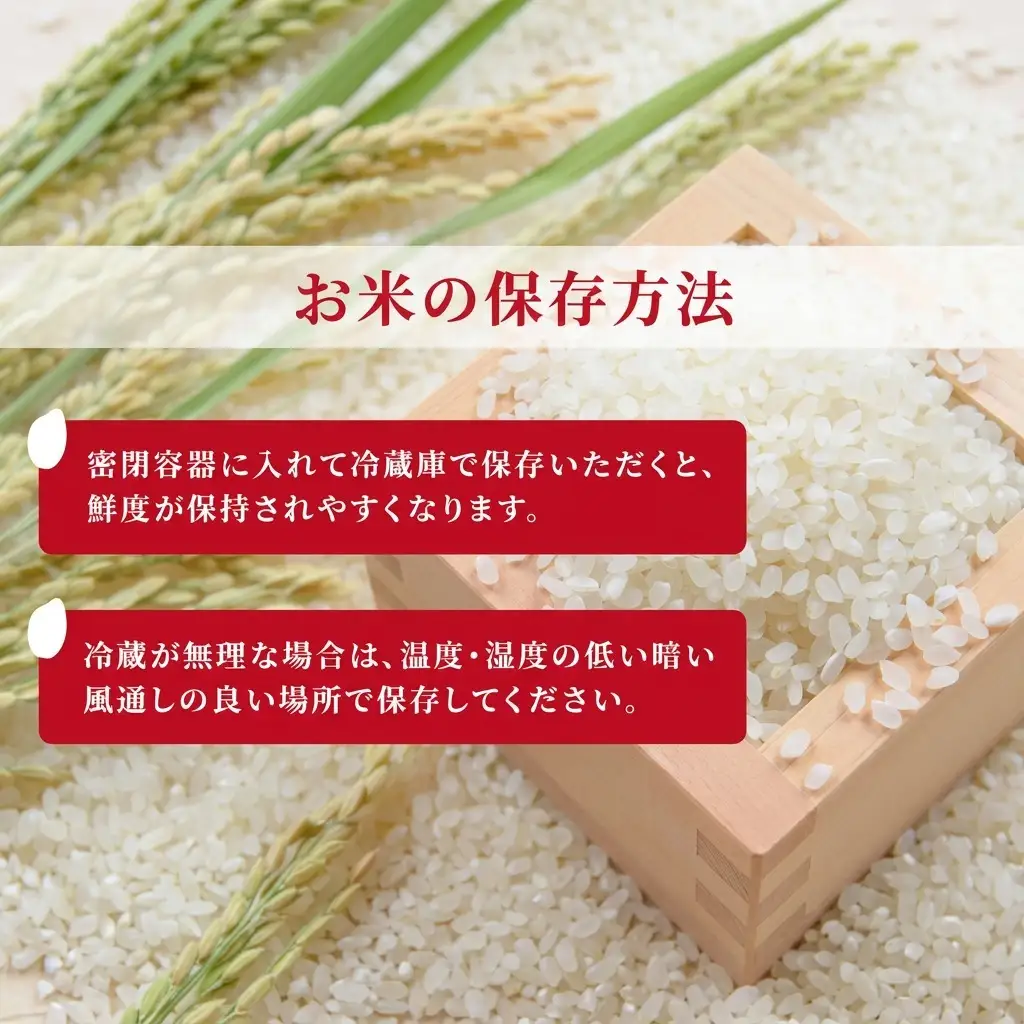 上越産 特別栽培米 コシヒカリ 10kg おにぎり コシヒカリ