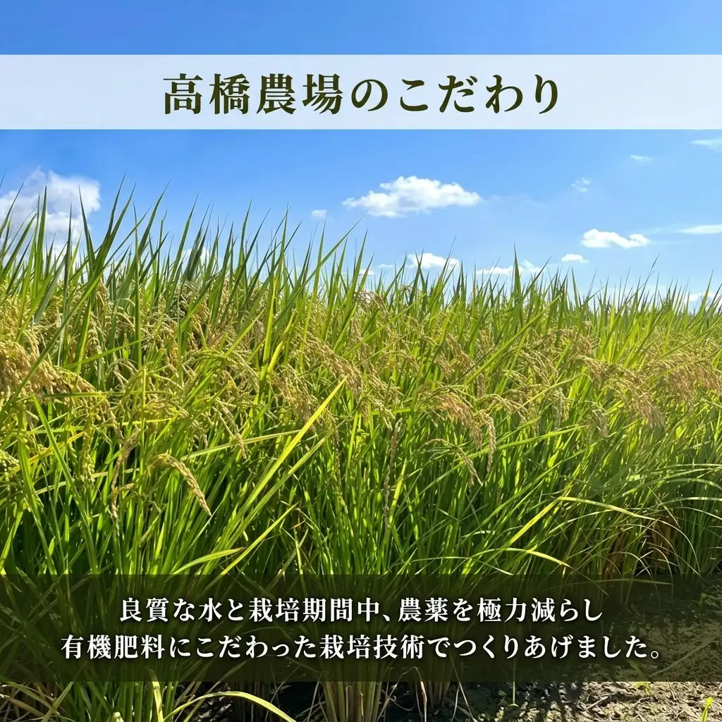 上越産 特別栽培米 新之助 20kg おにぎり 新之助