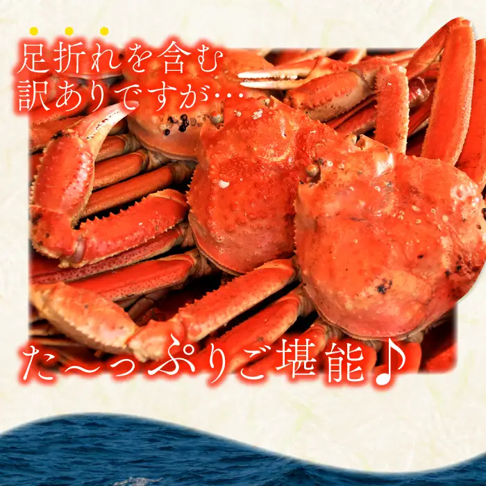 【蒸し】訳あり足折れ松葉ガニ 1kg前後【訳あり 松葉ガニ 松葉がに 松葉蟹 まつばがに かに カニ 冷蔵 チルド ブランド ズワイガニ 蒸し ボイル 足折れ 自宅用 国産 季節限定 お取り寄せ 鳥取県 日吉津村 日本海】