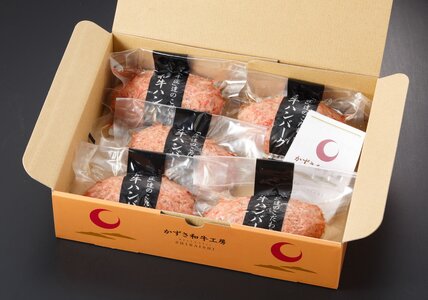 【定期便6回】自家製和牛ハンバーグ（生・冷凍個別真空）5個セット  | 牛肉 牛 肉 にく 和牛 かずさ和牛 国産 ハンバーグ 新鮮 オススメ 千葉県 君津市 きみつ