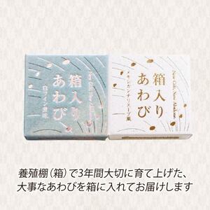 訳あり あわび4個 (メキシカンチリスープ風+白ワイン煮風)各2個セット