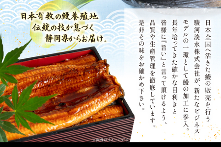 うなぎ 静岡県産 鰻2尾 約160g×2 蒲焼1尾 白焼1尾