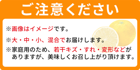 【予約受付】＜西予の美味しい柑橘セレクト（ご家庭用）／つるちゃん農園のみかん（約5kg）＞【11月頃から2027年1月中旬頃までに順次出荷予定】 果物 くだもの フルーツ 蜜柑 みかん ミカン 柑橘 ご家庭用 温州みかん 食べて応援 国産 愛媛県産 特産品 西予みかん倶楽部 愛媛県 西予市【常温】OMC0007