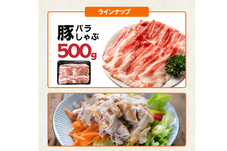 豚肉 詰め合わせ 宮崎県産豚肉 バラエティ セット 5種 4kg
