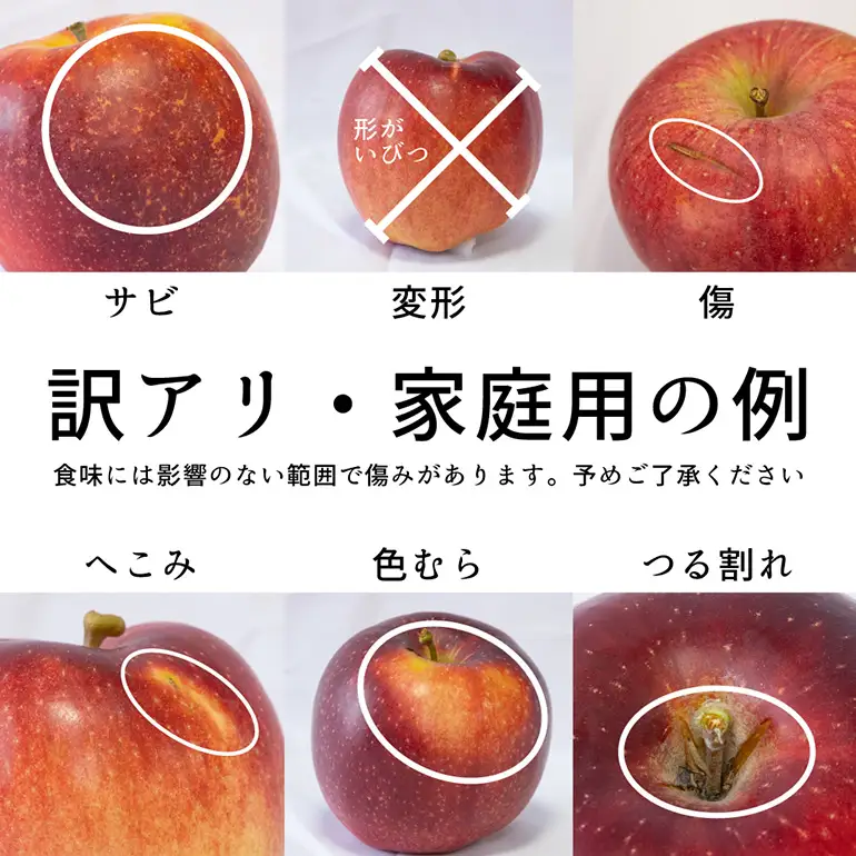 【訳あり】 サンふじ 約5kg 家庭用 053-0750x1