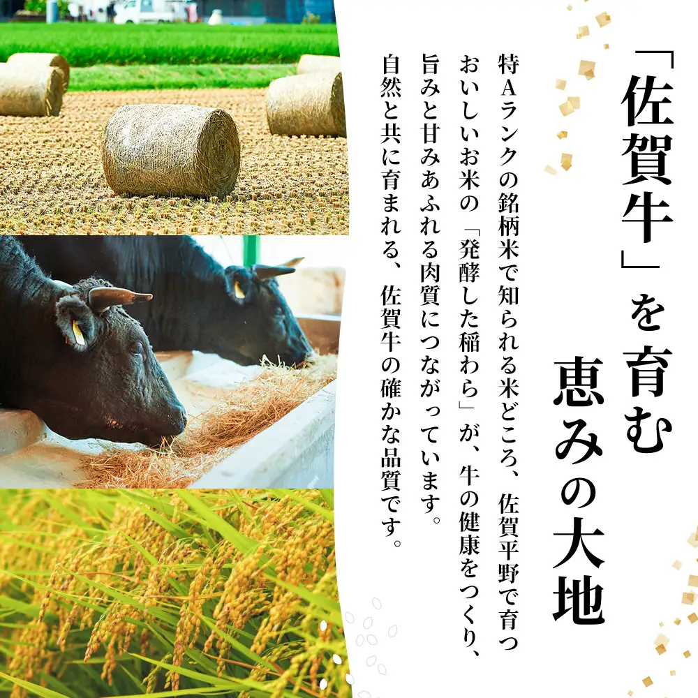 佐賀牛 柔らかハンバーグステーキ8個(H122136)