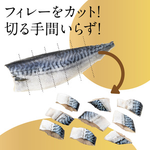 訳あり 塩サバ 切身 3kg サバ _HD247-001
