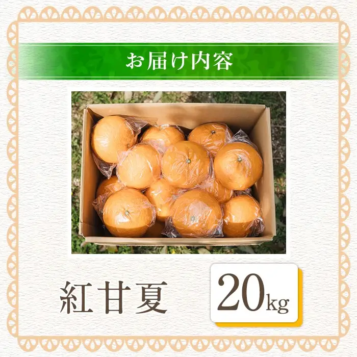 ＜先行予約受付中！2027年3月上旬以降順次発送予定＞ 数量限定！鹿児島県産 紅甘夏 (約20kg・M～2L) 柑橘 フルーツ 果物 国産 みかん 期間限定 数量限定 ベニアマナツ ミカン 旬 【株式会社土曜日】akn069-16