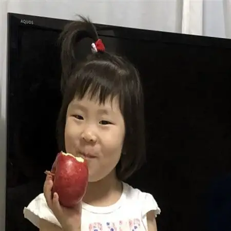りんごと言えば、本場青森県産サンふじ　贈答用　約3kg　9個前後入り　農家直送　蜜入り期待大!【配送不可地域：離島】【1654735】