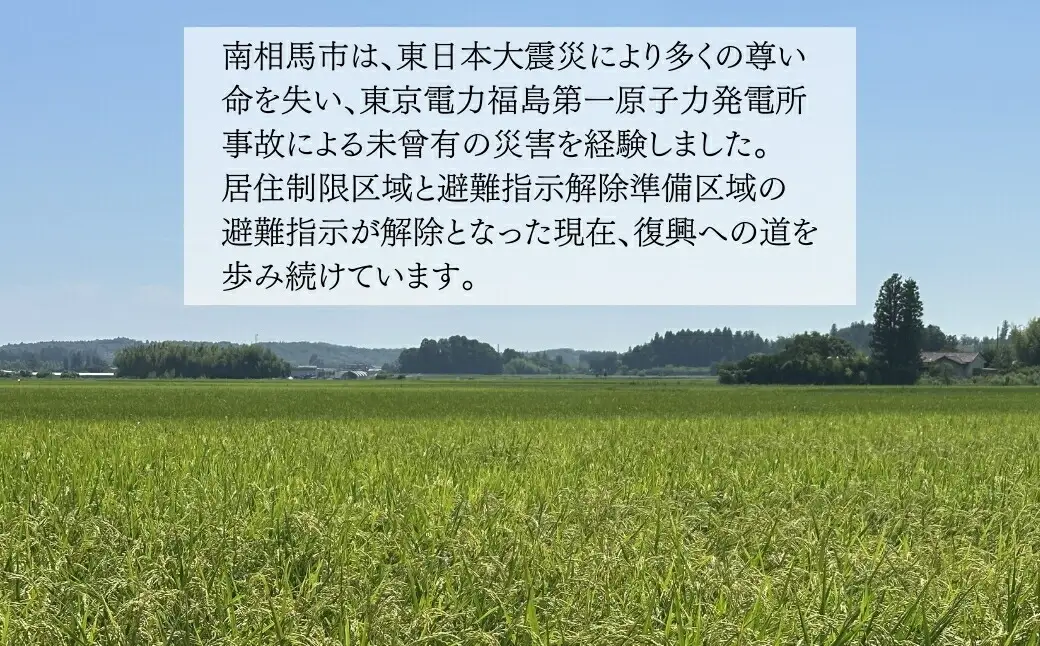 白米 20kg 天のつぶ 令和7年産 | 福島県産米 ふくしま未来農協 JA