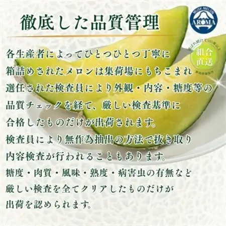 【組合直送】アローマメロン2玉(1玉:約1.3kg)～静岡が誇る高級マスクメロン～【1660354】