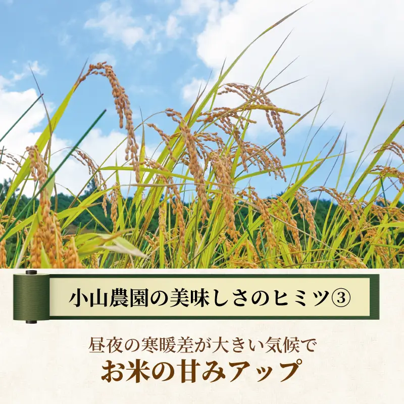 令和7年産 ヒノヒカリ 5kg 白米 宇治 ごはん 白米 お米 米 コメ こめ はくまい 宇治 ごはん ひのひかり 一等品 京都府産 京都 京都府 ふるさと納税米 数量限定