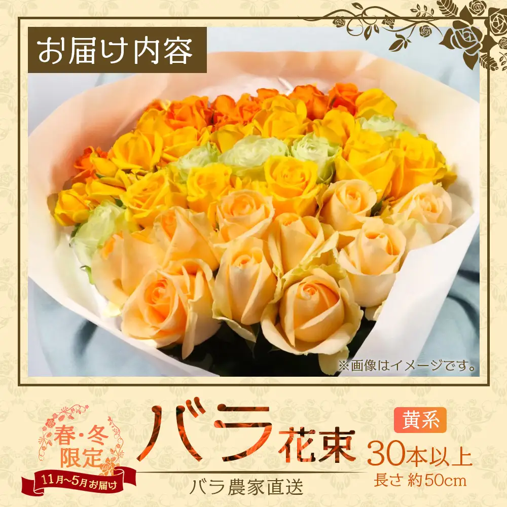※先行予約※【日付指定必須・ギフト対応可】ばら農家直送！人気の春・冬薔薇をお届け♪バラ花束30本以上(黄系) TB-15 │ ローズ 新鮮 花 フラワー 花束 ばら 薔薇 バラ 誕生日 記念日 結婚祝い ギフト プレゼント お祝い 贈り物 贈答 鹿児島県 南大隅町 富田バラ園