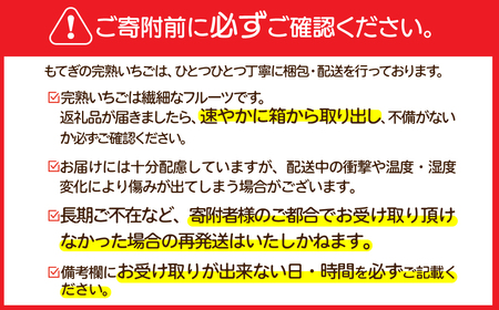 いちご【3月以降発送】朝採れとちおとめ レギュラーサイズ 約270g×4パック 合計 約1080g |イチゴ いちご