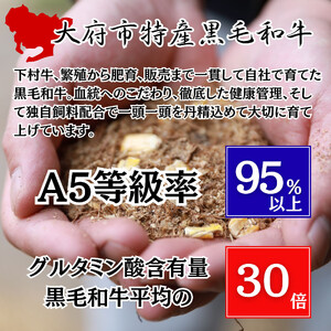 『下村牛』すき・しゃぶ2種食べ比べセット 1.0kg