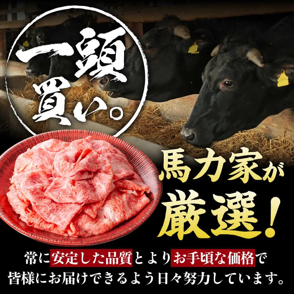 【12回定期便】飛騨牛サーロイン・リブロース 400g×1パック すき焼きしゃぶしゃぶ用肉 [AVBO023]