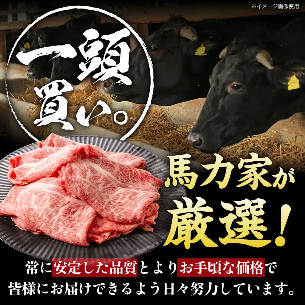 【12回定期便】飛騨牛肩ロース 400g×1パック すき焼きしゃぶしゃぶ用肉 [AVBO032]