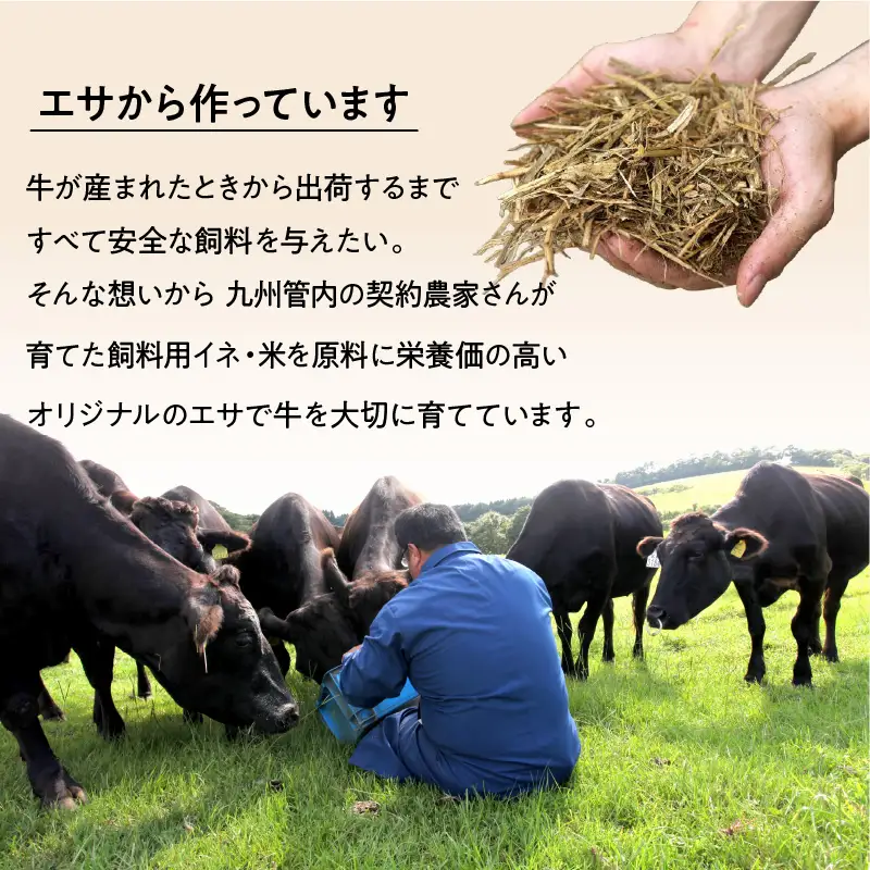 A5等級 鹿児島県産 黒毛和牛 赤身 ステーキ 800g K002-050_08 肉 牛肉 冷凍