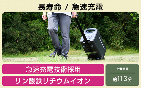 【810-01】ロジテック ポータブル電源 2500P 容量 2560Wh AC出力 2500W【DE-PS2500PLBK】