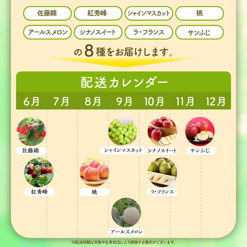 【全8回】 フルーツ定期便 旬のフルーツ 8種類