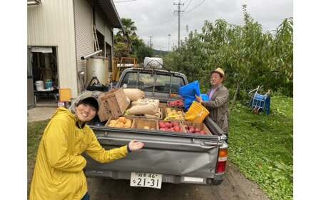 【先行予約 / 10月発送】 おまかせ フルーツ詰合せ 約5kg (目安：4～5種程度) 梨 りんご 洋ナシ ゆず 他