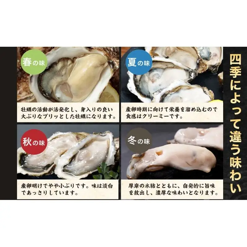 北海道厚岸産 生食用 殻付カキ Mサイズ  12個　マルえもん 魚貝類 海の幸 海のミルク 海鮮 国産 北海道産 オイスター つまみ お酒 あて 肴 生牡蠣 メルマガ掲載商品1