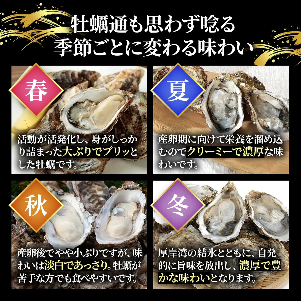 【 3ヵ月 定期便 】 北海道厚岸産 生食用 殻付カキ LLサイズ  12個　マルえもん 魚貝類 海の幸 海のミルク 海鮮 国産 北海道産 オイスター つまみ お酒 あて 肴 生牡蠣 メルマガ掲載商品1