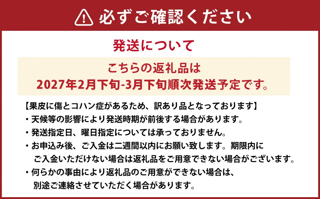 【先行受付】【数量限定】【訳あり】パール柑 約5kg 13玉前後 訳あり 訳アリ 柑橘 フルーツ 果物 果実 くだもの 九州産 熊本県 上天草市【2027年2月下旬～3月下旬順次発送】
