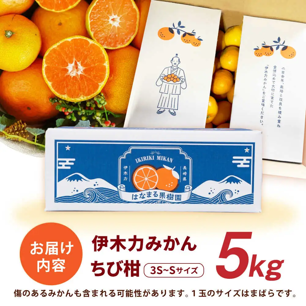 ※【2026年10月下旬より順次発送／先行予約】伊木力みかん(ちび柑) 5kg / みかん s みかんsサイズ ミカン 蜜柑 柑橘 フルーツ ふるーつ 果物 くだもの / 諫早市 / 山野果樹園 [AHCF013]