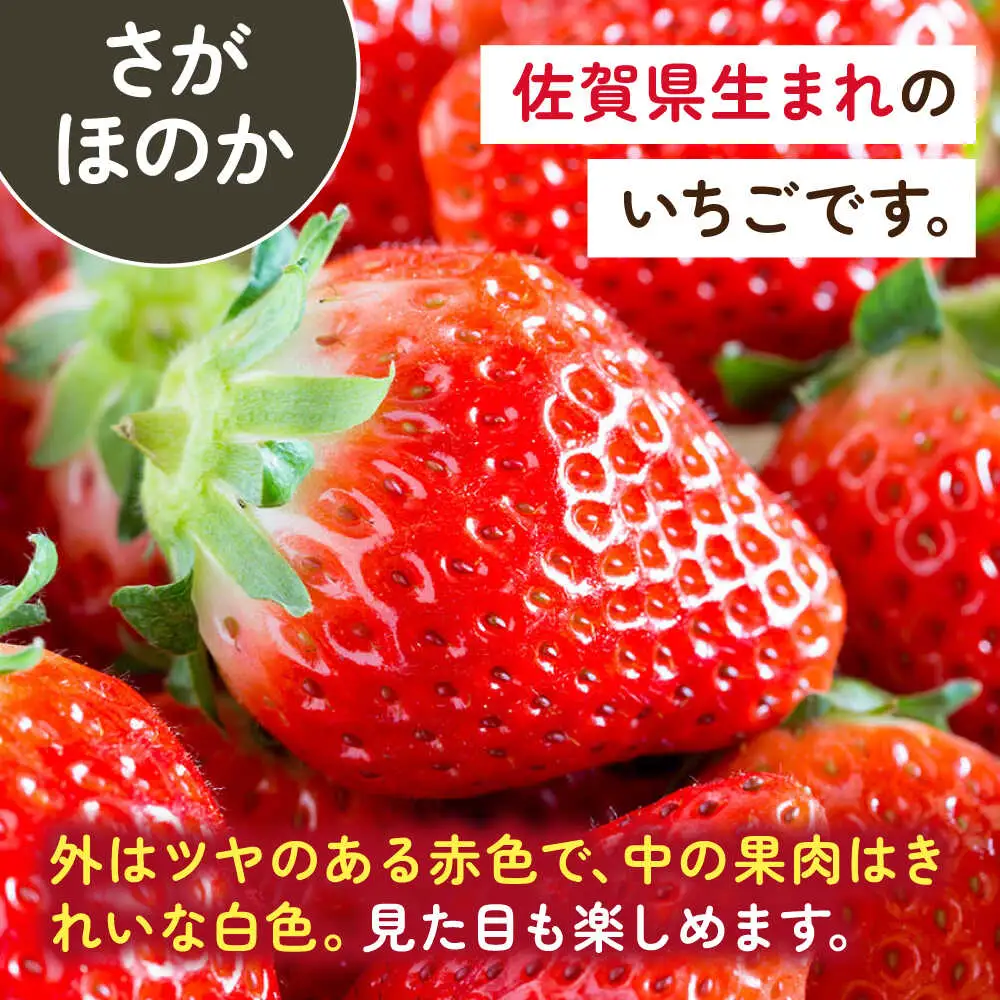 【2027年2月以降順次発送】1パックに3色いちご（こころの色・さがほのか・淡雪）220g×1パック / 佐賀県 / 岸川農園 [41ASAG009]
