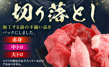 対馬産 本マグロ 740g（赤身300g、中トロ300g、切り落とし140g） ≪対馬市≫【桐谷商店】 トロの華 対馬 新鮮 マグロ 赤身 トロ 切り落とし 鮪 刺身[WAQ079]