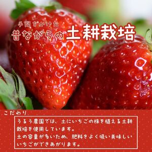 GF005_【2025年11月中旬～2026年4月発送】極上いちご 400ｇ