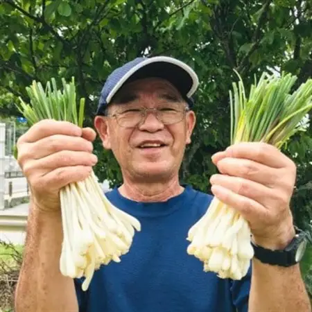 【2027年2月中旬から順次発送】産地直送!沖縄おつまみの定番の島らっきょう1kg【配送不可地域：離島】【1584610】