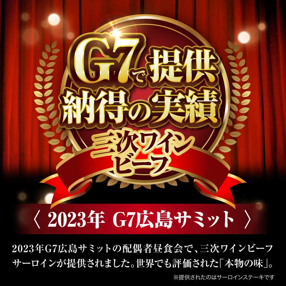 肉 三次ワインビーフ リブロース ステーキ 250g （250g×1枚）[APAX016] 牛肉
