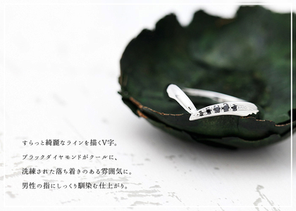 結婚指輪 メンズリング PT900 ブラックダイヤモンド 0.07ct プラチナ V字リング ジュエリー マリッジリング 【294-ptm】 ALPAZ160