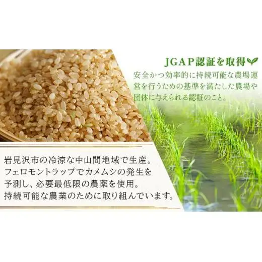 令和7年産!ファーム坂口の特別栽培米 おぼろづき玄米5kg