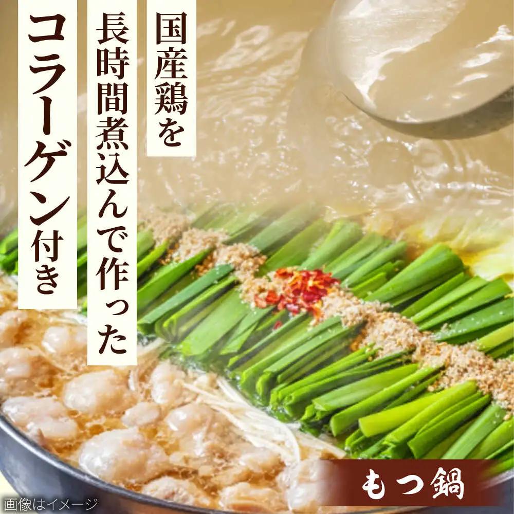 「上田商店」博多もつ鍋セット(白味噌/2人前)[BGAD054]もつなべ味噌