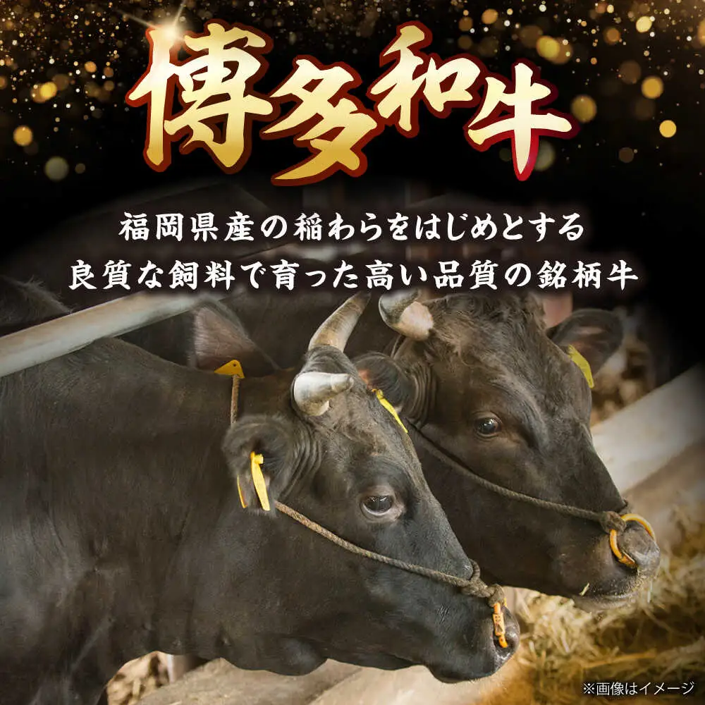 【訳あり】博多和牛ヒレ焼肉用 600g [BGAM012]牛肉 焼肉