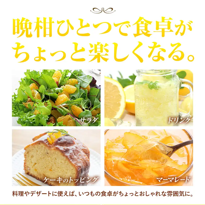 熊本 晩柑 10kg 高橋商店 天草晩柑