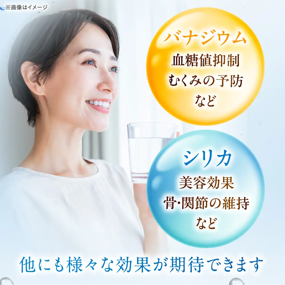 ミネラルウォーター【全6回定期便】VanaSilica Water 24本[AOEH016]ミネラルウォーター