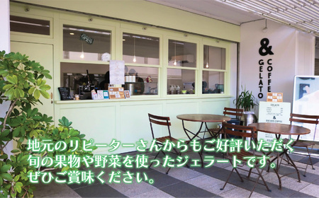 ジェラート 12個 4種 セット 手作り 季節の ジェラート