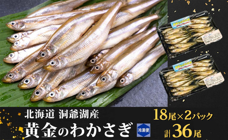 【ふるさと納税】洞爺湖町産 黄金のわかさぎ  18尾×2P 計36尾 12月以降順次出荷 北海道産 ワカサギ わかさぎ 川魚 魚介類 産地直送 冷凍 お取り寄せ グルメ 天ぷら とうやマルシェ 北海道 洞爺湖町