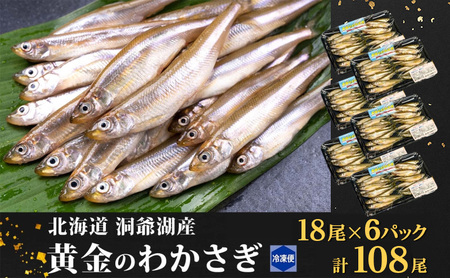 【ふるさと納税】洞爺湖町産 黄金のわかさぎ  18尾×6P 計108尾 12月以降順次出荷 北海道産 ワカサギ わかさぎ 川魚 魚介類 産地直送 冷凍 お取り寄せ グルメ 天ぷら とうやマルシェ 北海道 洞爺湖町