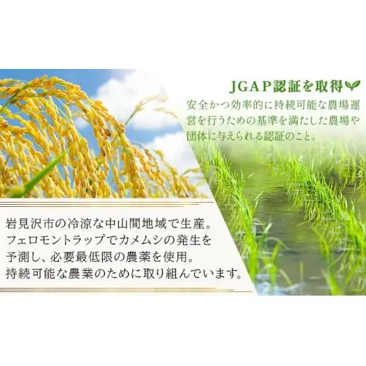 令和7年産!ファーム坂口の特別栽培米 おぼろづき精米 10kg(5kg×2)